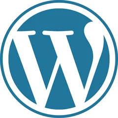 WordPress: Michael-Christopher Suman: Building MCAS Advocacy through Detailing for MCAS
