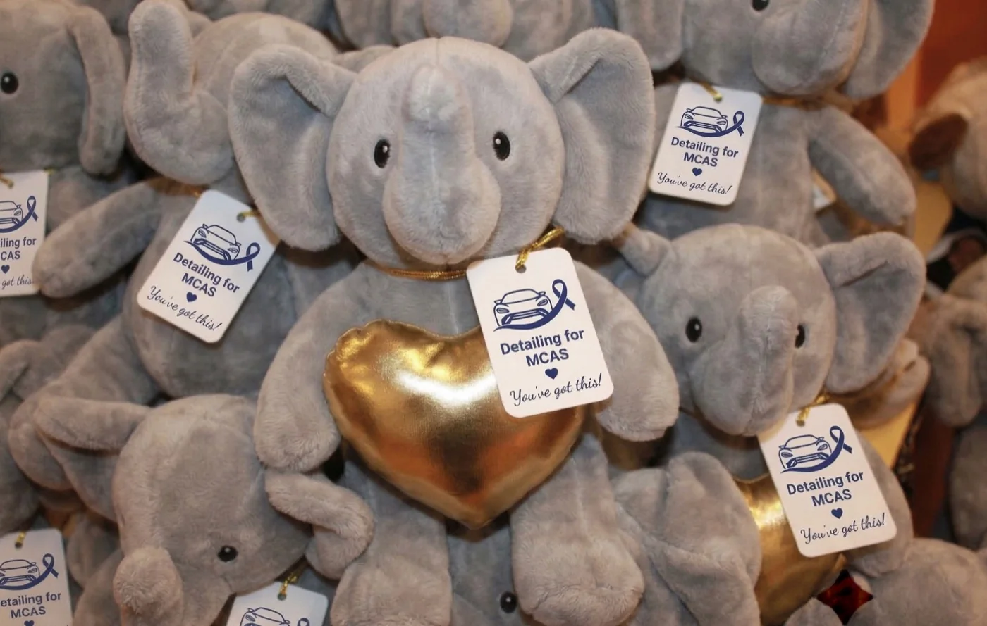 Plush elephants tagged for Detailing for MCAS patient care packages