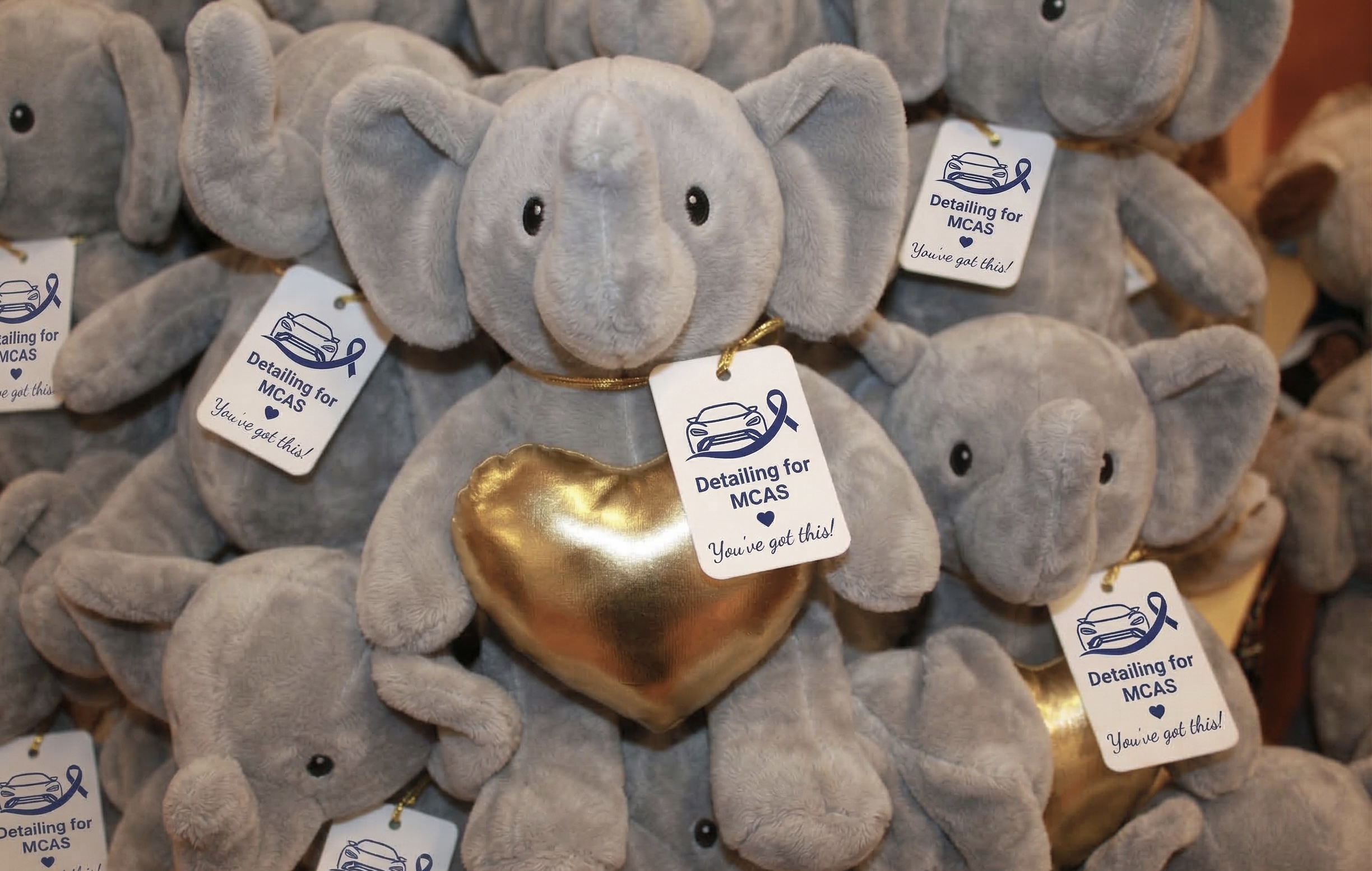 Detailing for MCAS Fundraiser